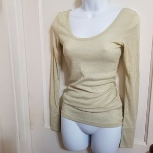 Sheet Metallic Long Sleeve Top